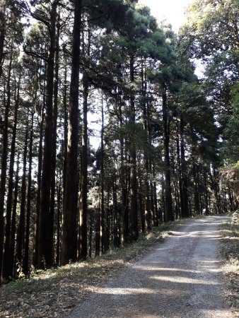 Road to Chatakpur